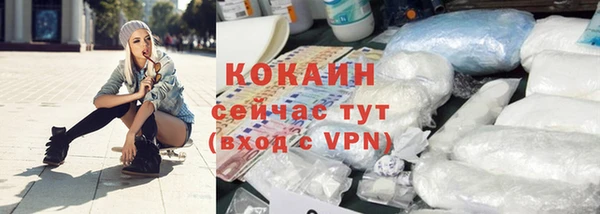 индика Михайловка