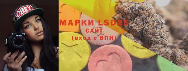 индика Михайловка