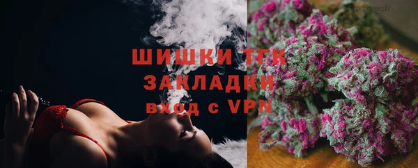 индика Михайловка